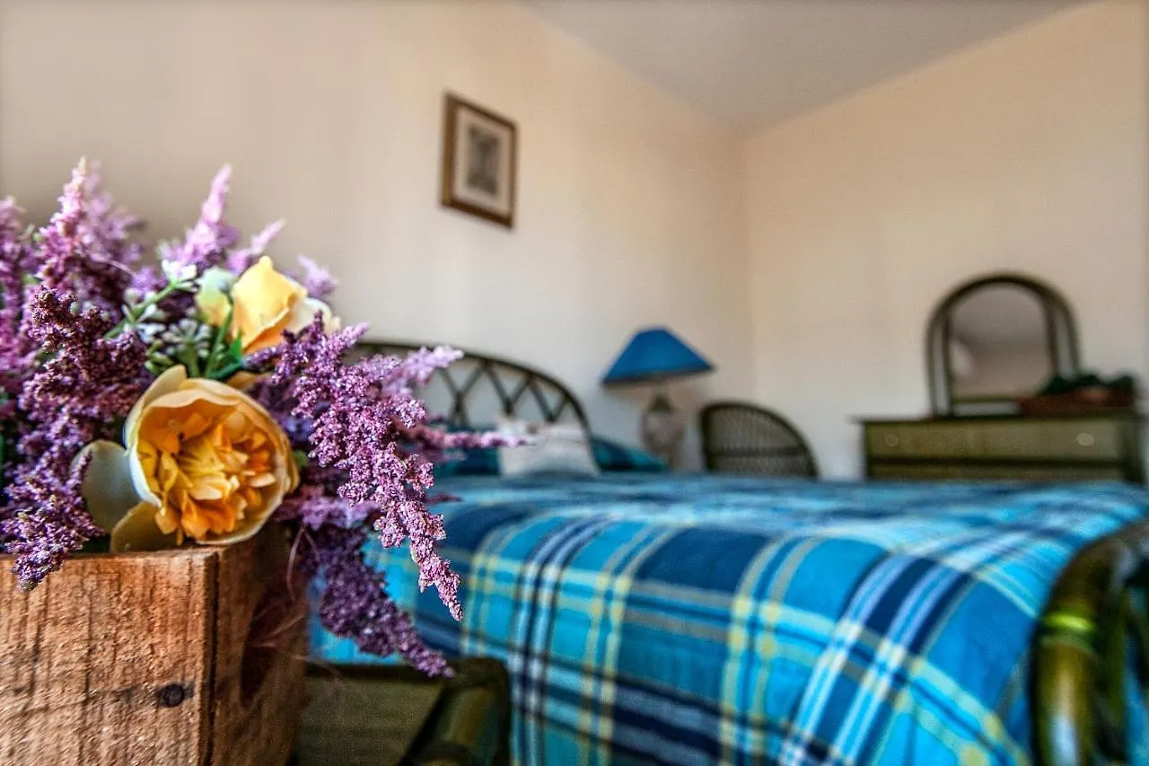 B&B Princess Room Capo dʼOrlando Bed & Breakfast